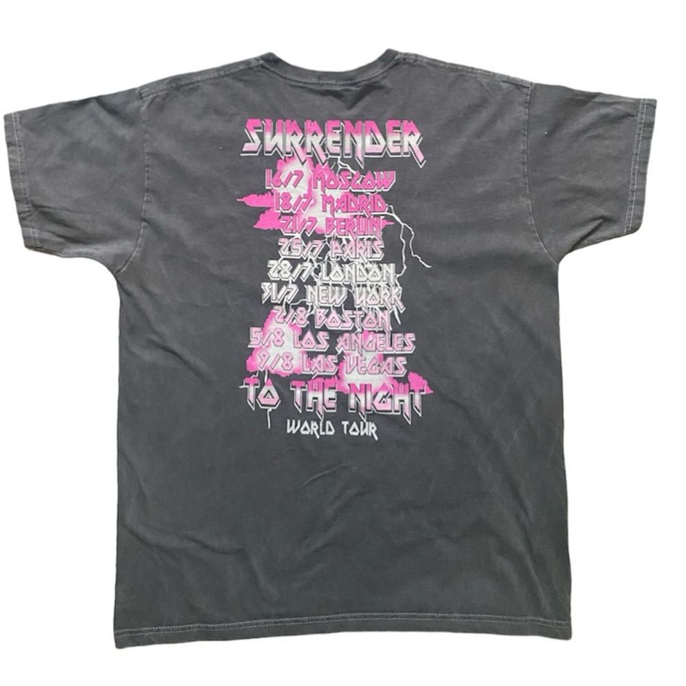[PLT] World Tour Surrender Graphic Washed T Shirt - Picture 6 of 6